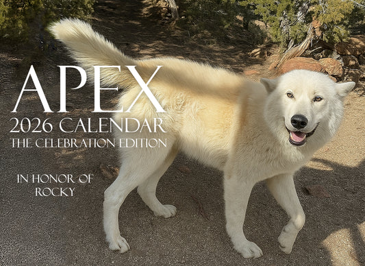 Pre-Order Apex 2026 Calendar