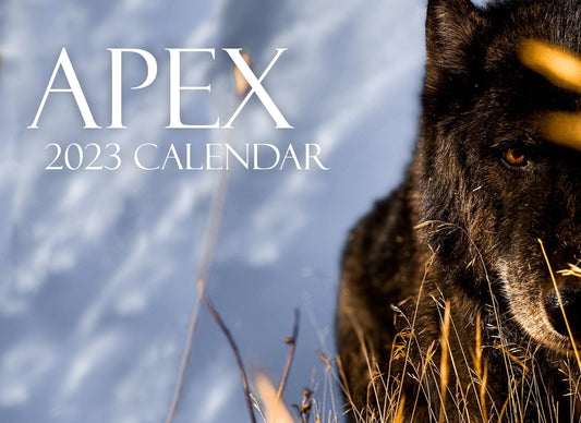 Apex 2023 Calendar